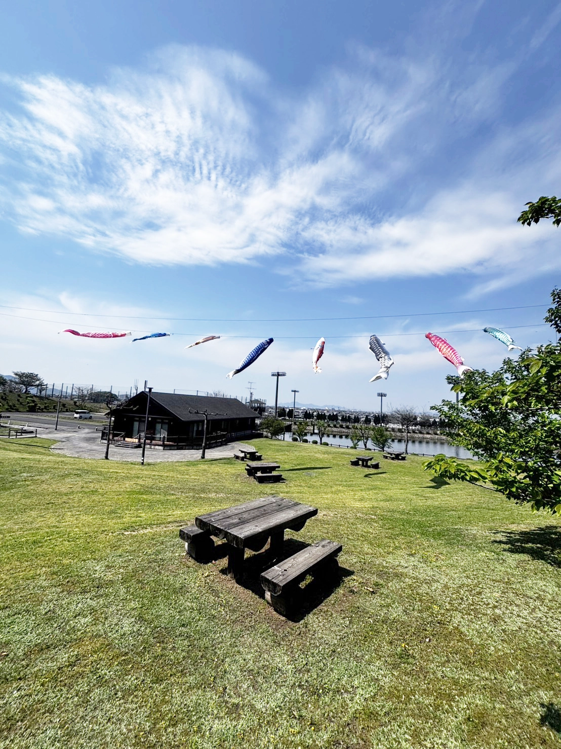 空を泳ぐ鯉のぼり(5月)
