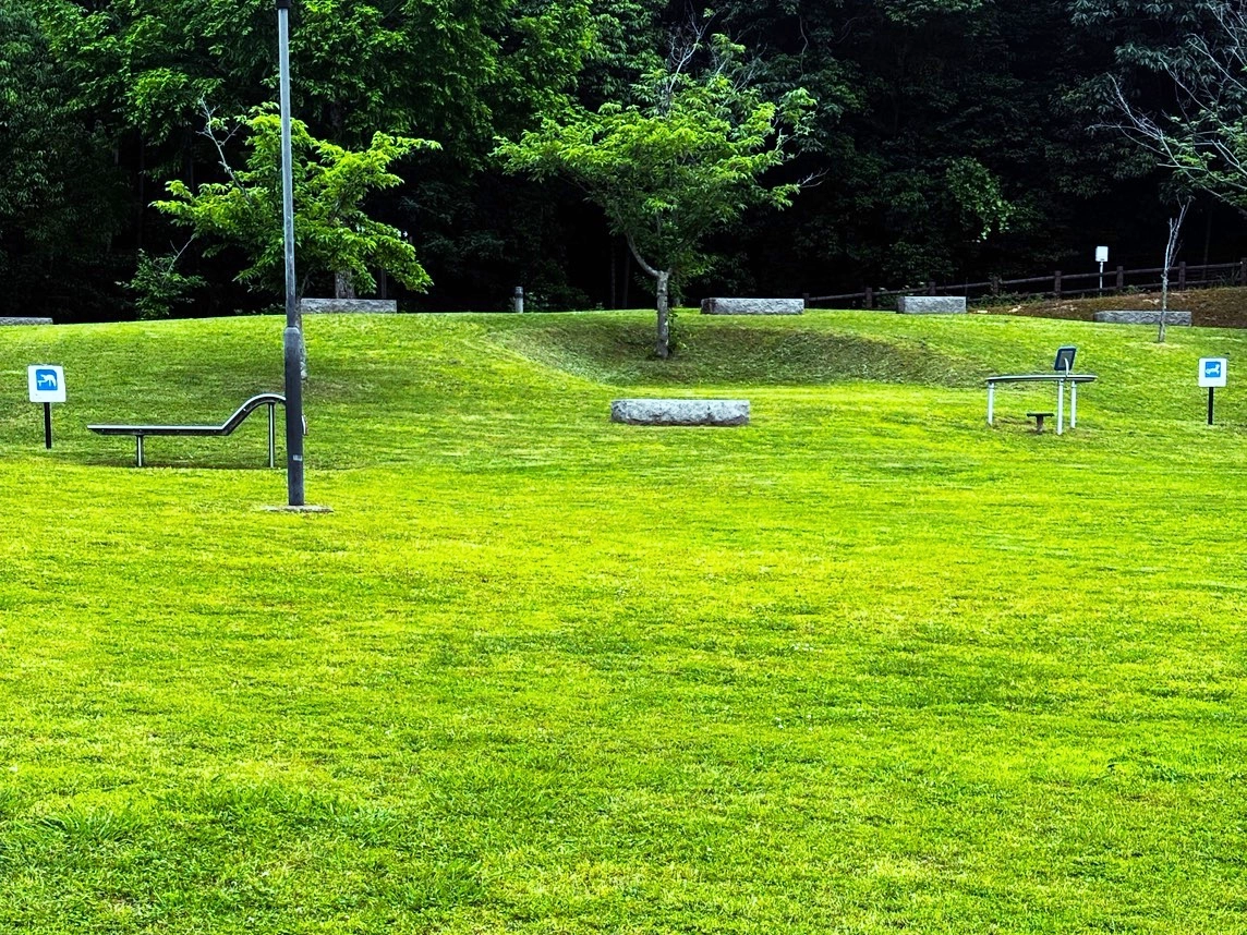 鮮やかな緑の芝(春〜夏)