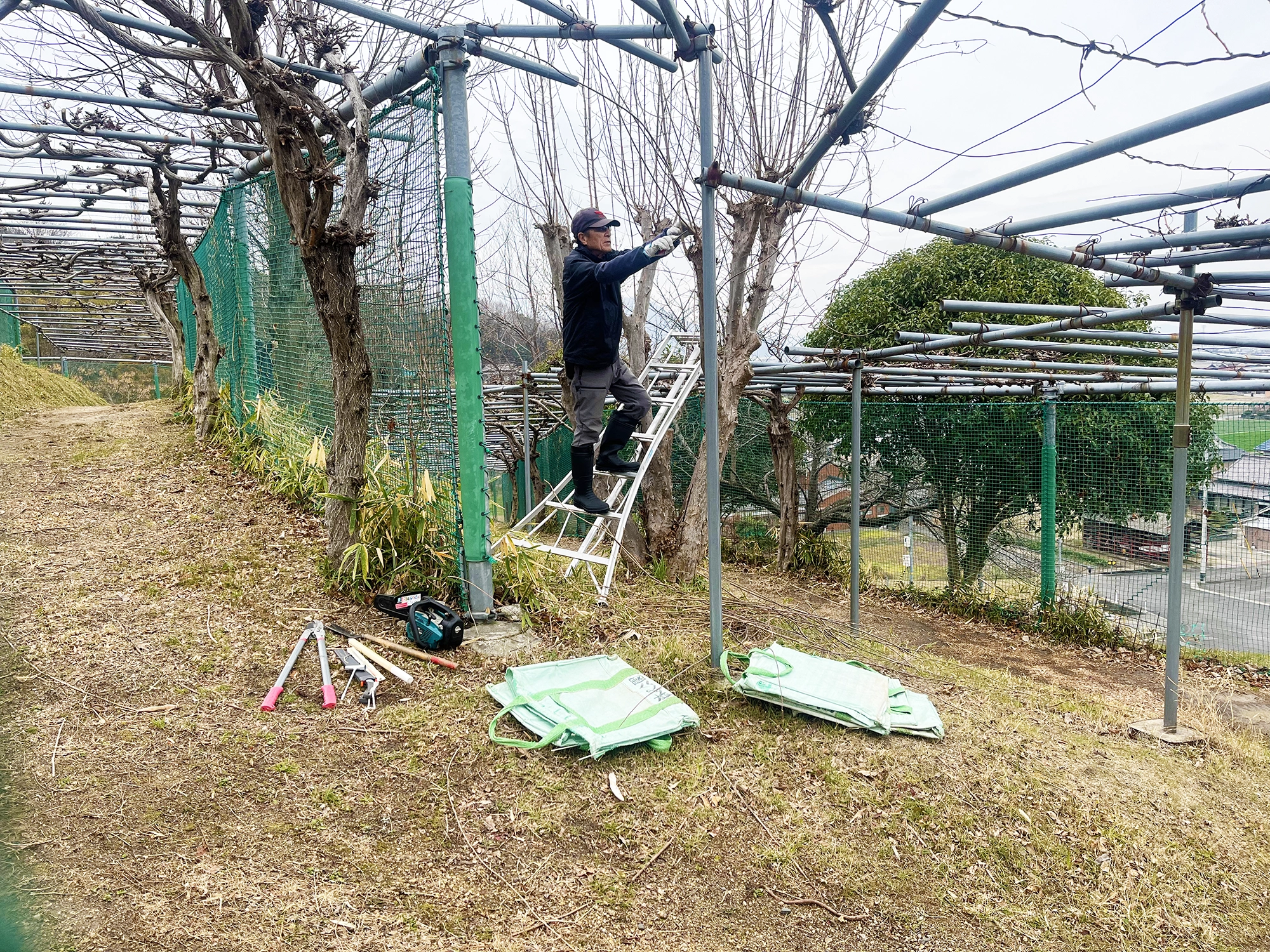 園内の植物はスタッフが日々丁寧に管理しています
