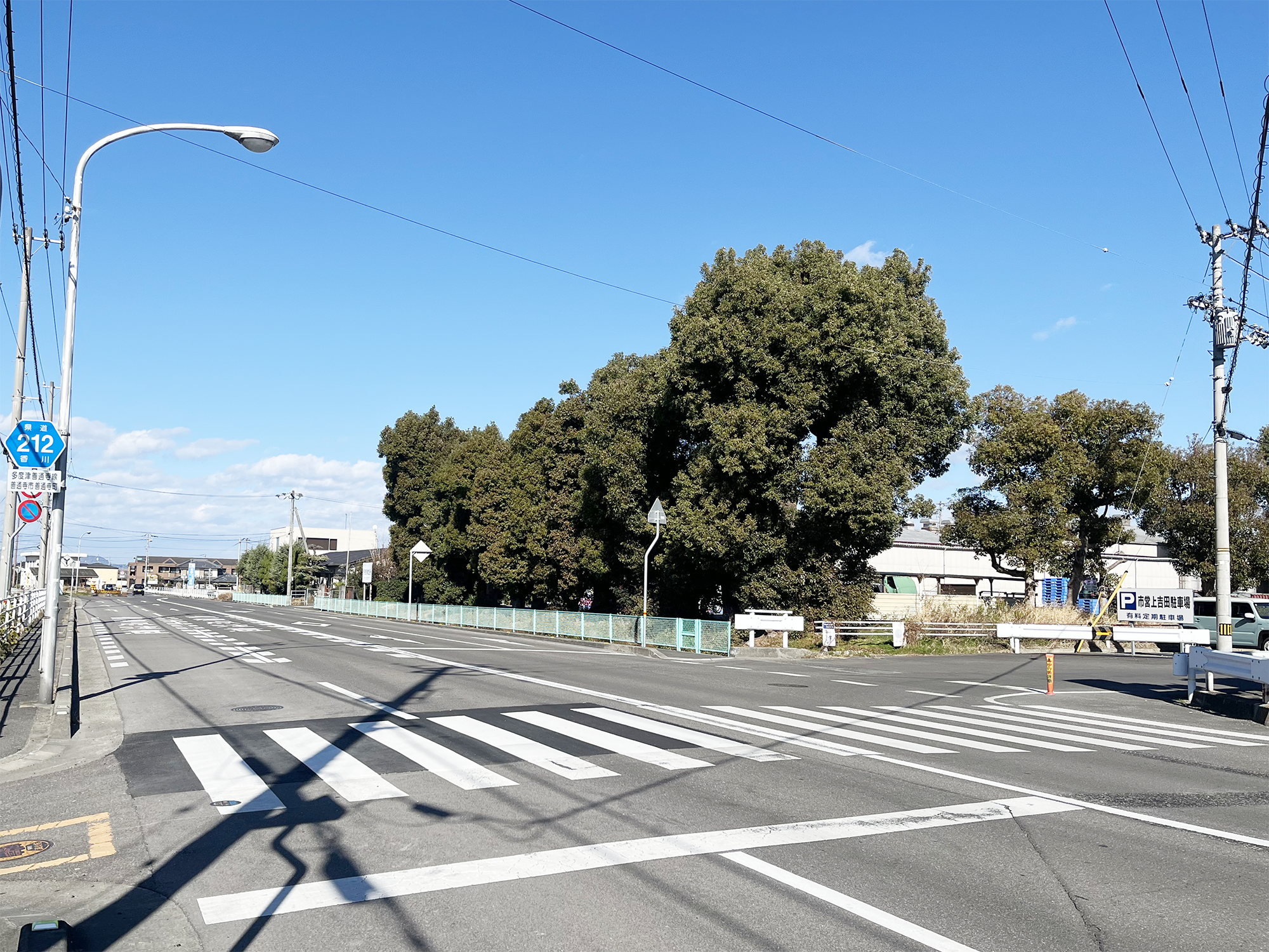 県道212号南から