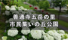 各季節で様々な花が楽しめる「花のまちづくり」の拠点　善通寺五岳の里 市民集いの丘公園