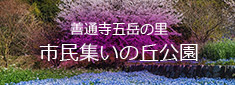 善通寺五岳の里 市民集いの丘公園