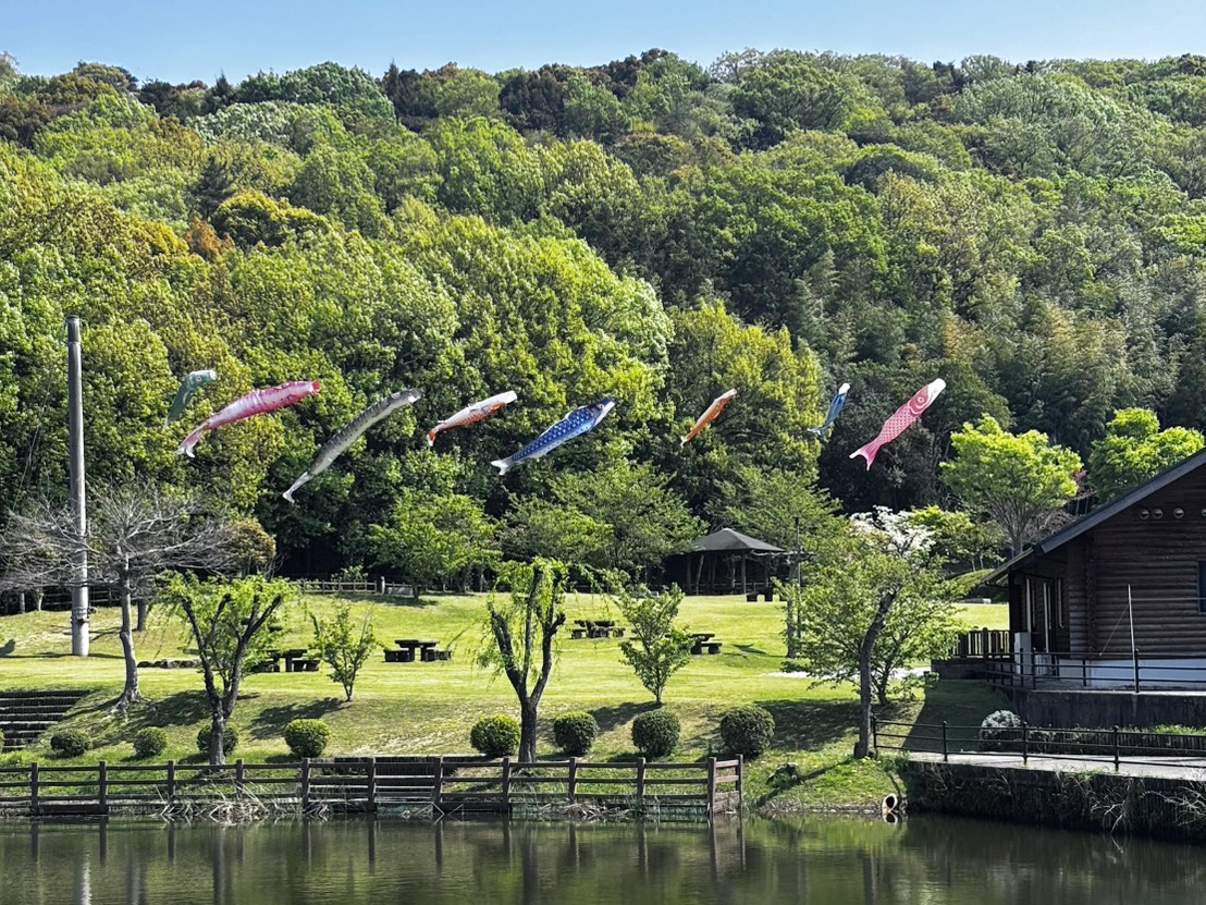 鉢伏ふれあい公園 鯉のぼり掲揚の様子（4月10日〜5月10日の期間中）
